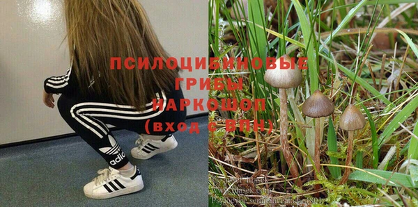 дживик Алексеевка