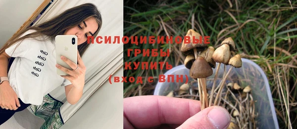 мяу мяу кристалл Алексин
