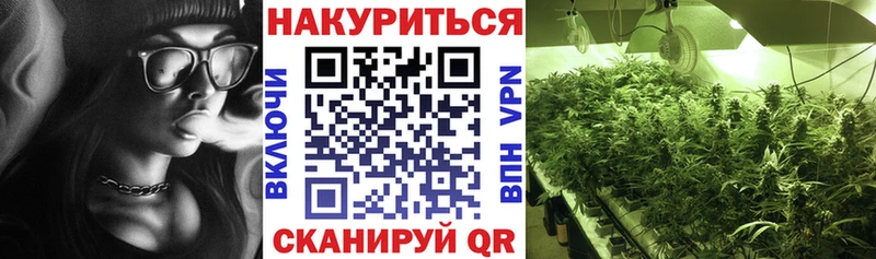 Каннабис сатива hydra Юрьев-Польский купить закладку